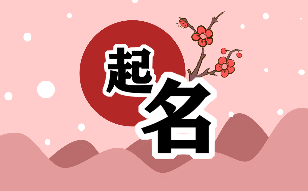 龙年姓龙取名男孩名字