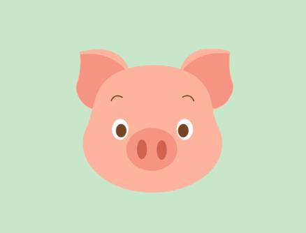 属猪人流年运势12个